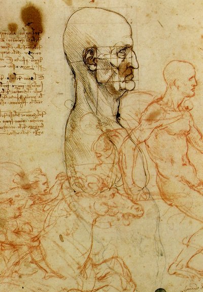 Study of a Male Head by Leonardo da Vinci